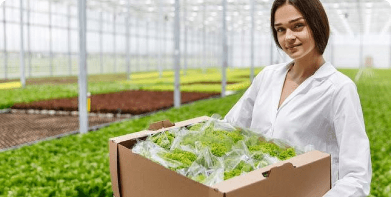 Export Of Agricultural Products From India